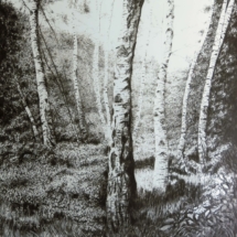 Apres Atget Birch 122 x 153 cm