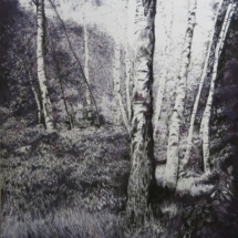 Apres Atget Birch 122 x 153 cm