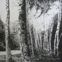 Après Atget Birch 26